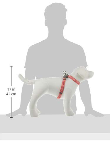 Doggyman Footbone 8 Harness, Orange, for Medium Dogs, Size 20