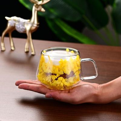 Yousheng 200ML Clear Glass Mug Double Wall Insulated Cup with Handle Aesthetic Dehydrated Flower Design Heat Preserving Tumbler for Coffee Tea