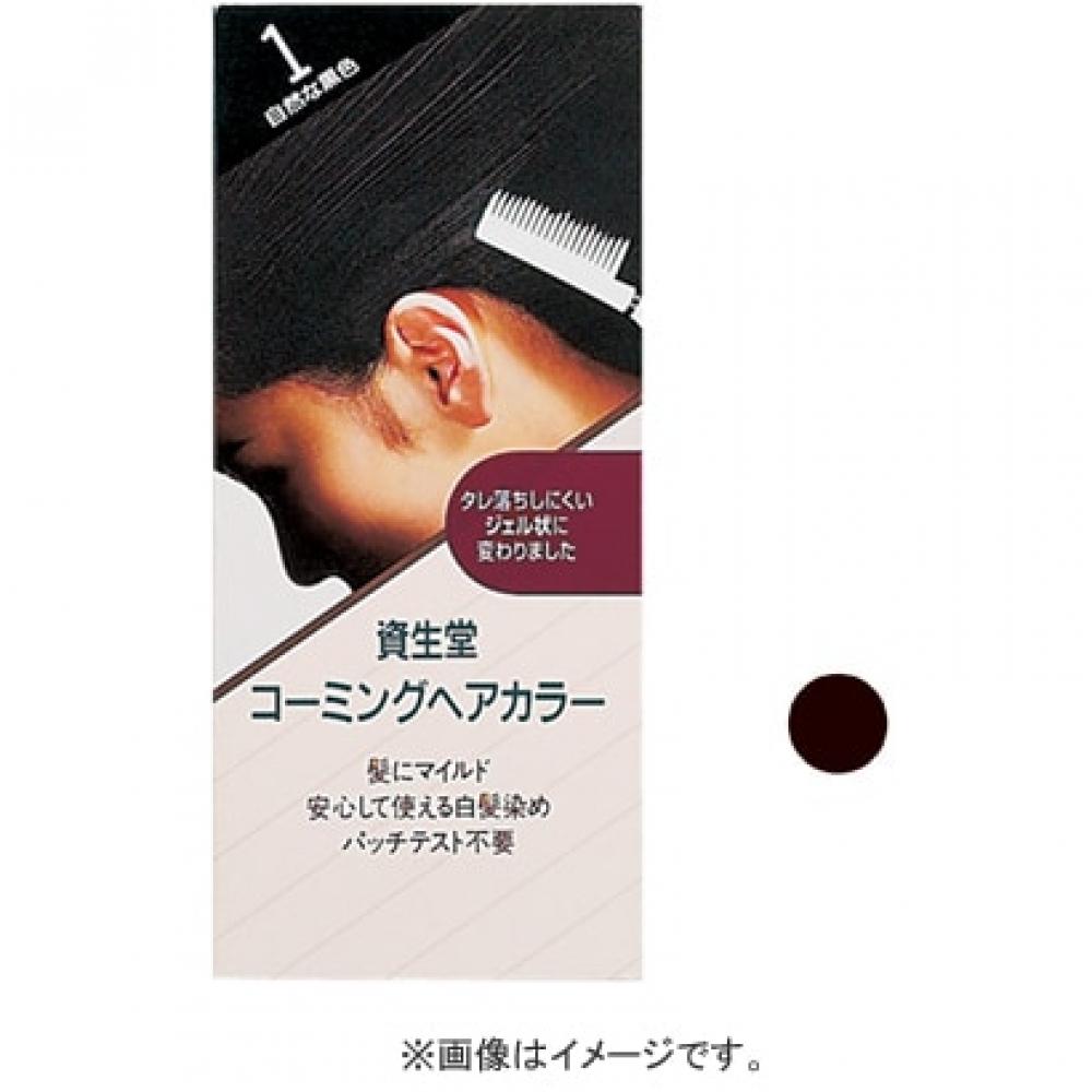 

Shiseido SHISEIDO Combing Color a 2 Natural Brown [Цвет волос]