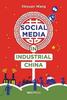 The Social Media In Industrial China Book