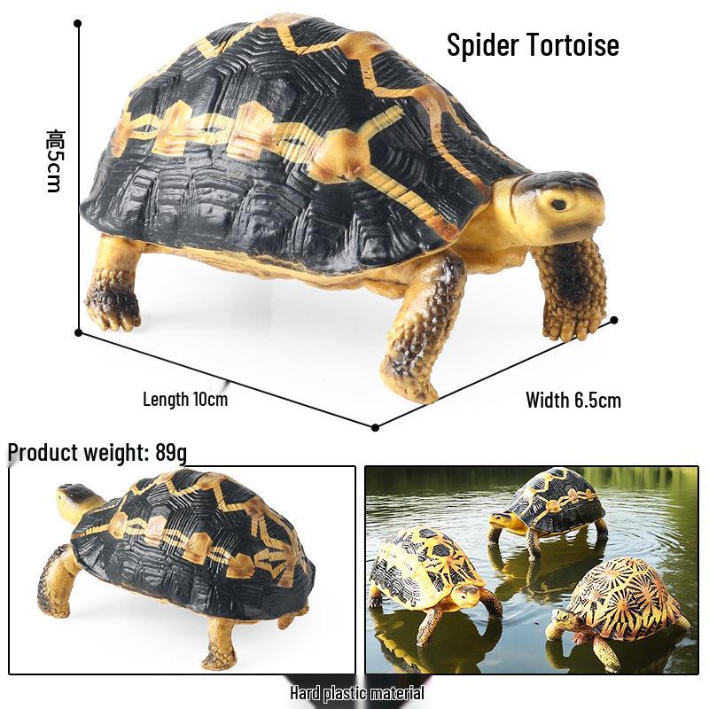 Wild Animal Model: Children's Simulation Turtle Gift Set - Tortoise Variants & Spiderweb Design.