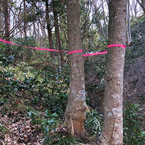 KENOH Marking Tape, 30mm Wide x 50m Long, Pink, Dimensions: 3cm Deep x 8cm High x 8cm Wide