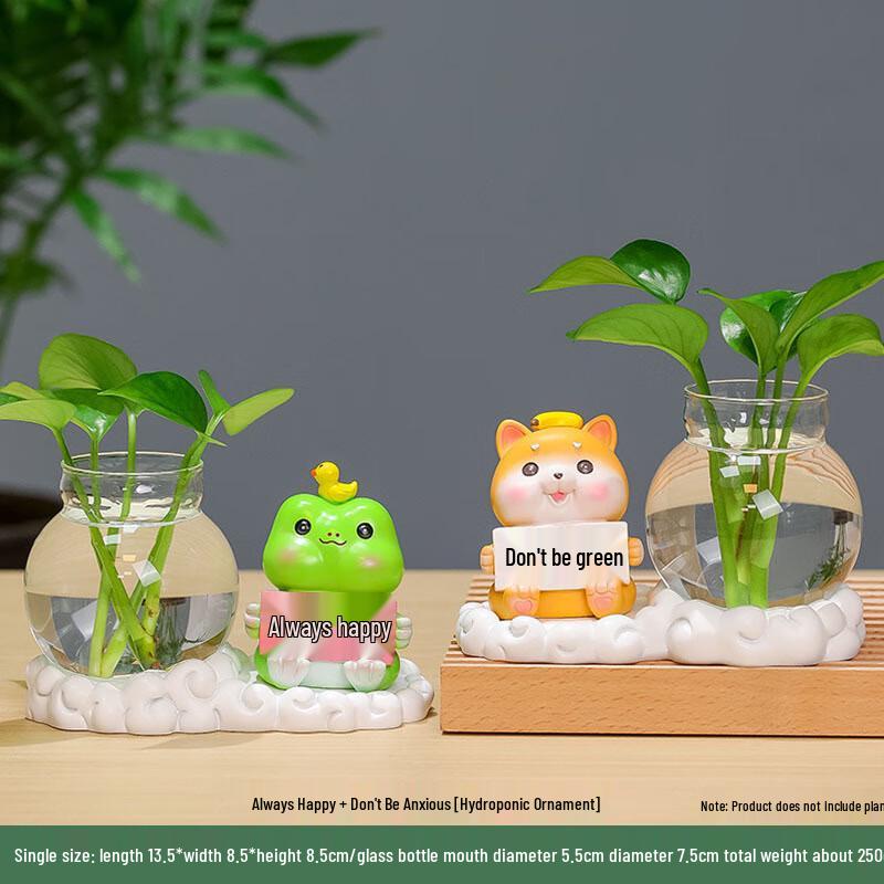 Desktop Decorative Hydroponic Ornaments