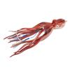 Fishing Squid Bait Artificial Spray Ink Design Red 300g Lure Fishing Octopus Lure for Sea Fishing Accessory