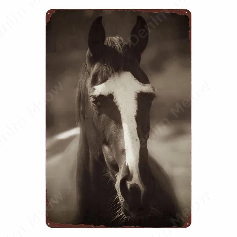 The Crusaders Vintage Metal Tin Sign, Bar, Club, Cafe, Home, Bedroom, Wall Decoration, Cruciata Art Poster, Catholicism Plaqu