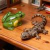 1 Pcs Reptile Silicone Mold - Turtle Lizard & Frog Resin Casting Mold for DIY Animal Figurines & Ornaments