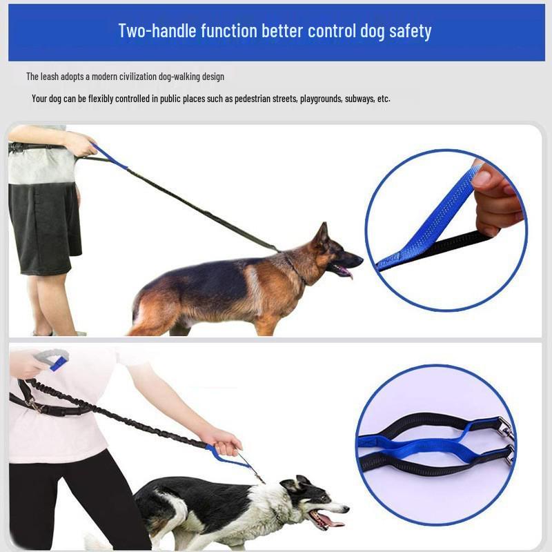 Multifunctional Reflective Waist Bag with Bungee Dog Leash