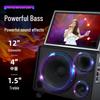 SAST SW-76 Portable KTV Video Karaoke System