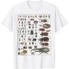 Insect Collection Species Bugs Vintage Chart Entomology T-Shirt