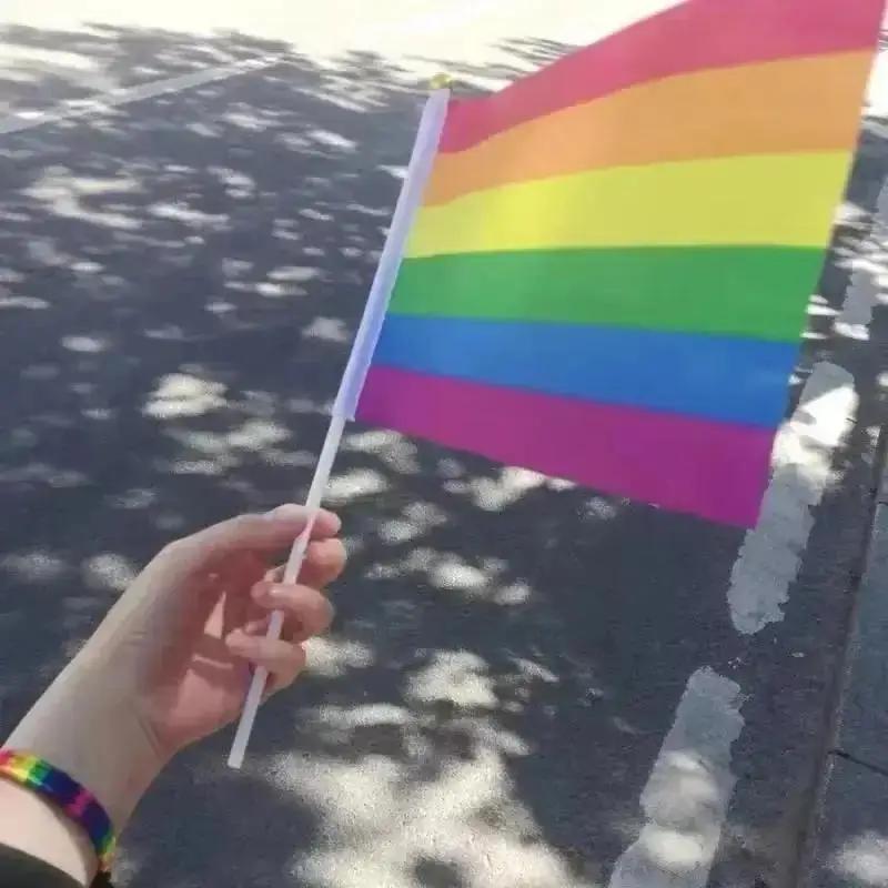 New 2025 Rainbow Hand-waving Flag Lesbian Gay Bisexual Transgender LGBT Pride Flag 14x21cm Pride Month Pretty Party Flag