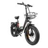 BAOLUJIE DZ-2030 Electric Bike 20*4.0'' Inch Tires 500W Motor 48V16AH Battery Max Speed 40KM/H Mechanical Disc Brakes