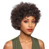 Synthetic Short Curly Brown Wigs for Women Fluffy Wigs with Bangs Daily Party Cosplay Costume Heat Resistant Female