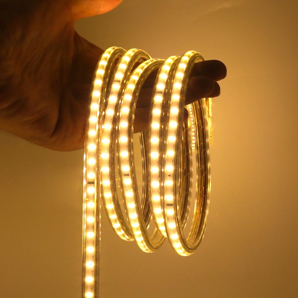 AC 220V LED Strip Light 120 LEDs/M IP65 Waterproof Flexible Ribbon Warm Natural White Blue Home Decor With On Off Switch