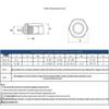 304 Edelstahl Nylon Selbstsichernde Sechskantmutter M2-M30, Anti-Rutsch DIN985 Hutmutter