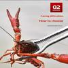 Durable Stainless Steel Crab Tongs Non Slip Serrated Edge Seafood Clip for Home Restaurant Lobster Eel Cracking Use