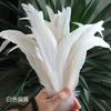 50Pcsdiy Handmade Feathers Long Feathers Off White Purple Tail Jewelry Accessories Mask Handicrafts Clothing Accessories