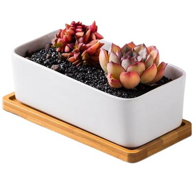 Quikaboo Flower Pot, Ceramic Cactus Pot, Succulent Plant Pot, Suitable for Indoor and Outdoor Use, Container, Group Planting