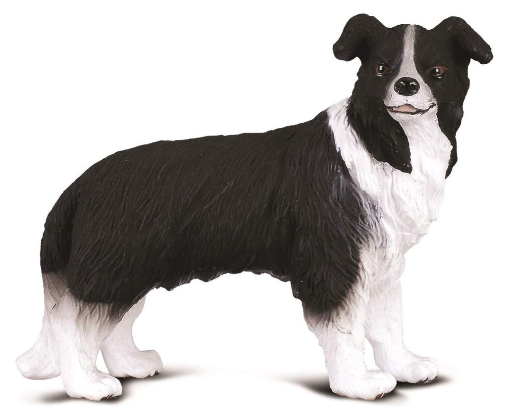 CollectA Figurka Psa Border Collie 88010