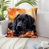 Cute Animals Print Pillowcase: 2D Flat Printing, Non-real Embroidery, Night Sofa  Night Sofa Cushion