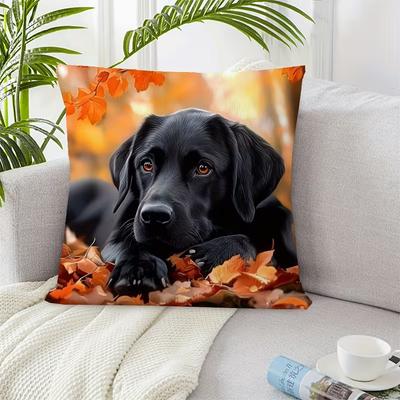 Niedlicher Tierprint Kissenbezug: 2D-Flachdruck, keine echte Stickerei, Nachtsofa Nachtsofa-Kissen