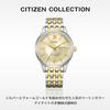 Citizen NY4057-63P Men's Automatic Watch, Water Resistant, Gold, Silver