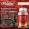 Blood Sugar Blend - with Berberine, Cinnamon, Gymnema, Alpha Lipoic Acid, CoQ10