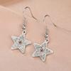 Cazador Clear Zircon Star Drop Dangle Earrings for Women Stainless Steel Pentagram Earrings Jewelry 2026 Trend Mother's Day Gift