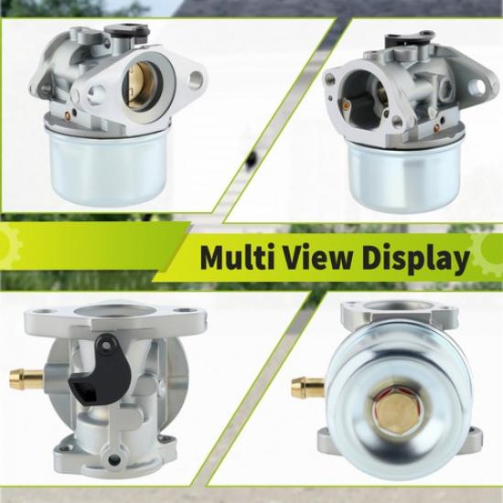 Carburetor 50-657 for 799868 498254 497347 497314 Carb 498170