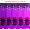 RnnTuu LED Grow Light USB Phyto Lamp Full Spectrum Fitolamp With Control Phytolamp For Plants Seedlings Flower Home Tent
