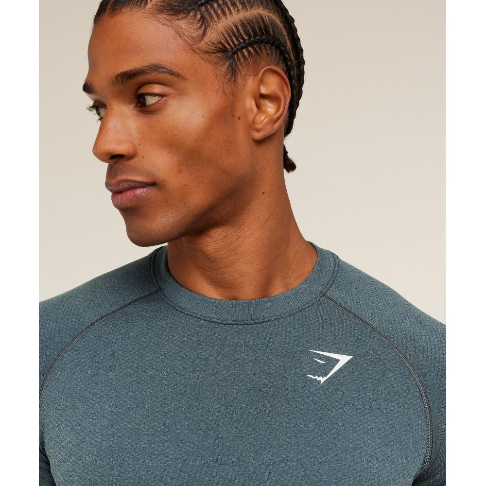 Gymshark ViTal Seamless T shirT Iron Blue    sTealTh Blue A2b5p Ud79