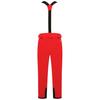 Dare 2B Mens Achieve II Ski Trousers