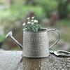 Vintage Metal Watering Can Distressed Watering Can with Long Spout Small Watering Pot for Indoor Outdoor Gardening