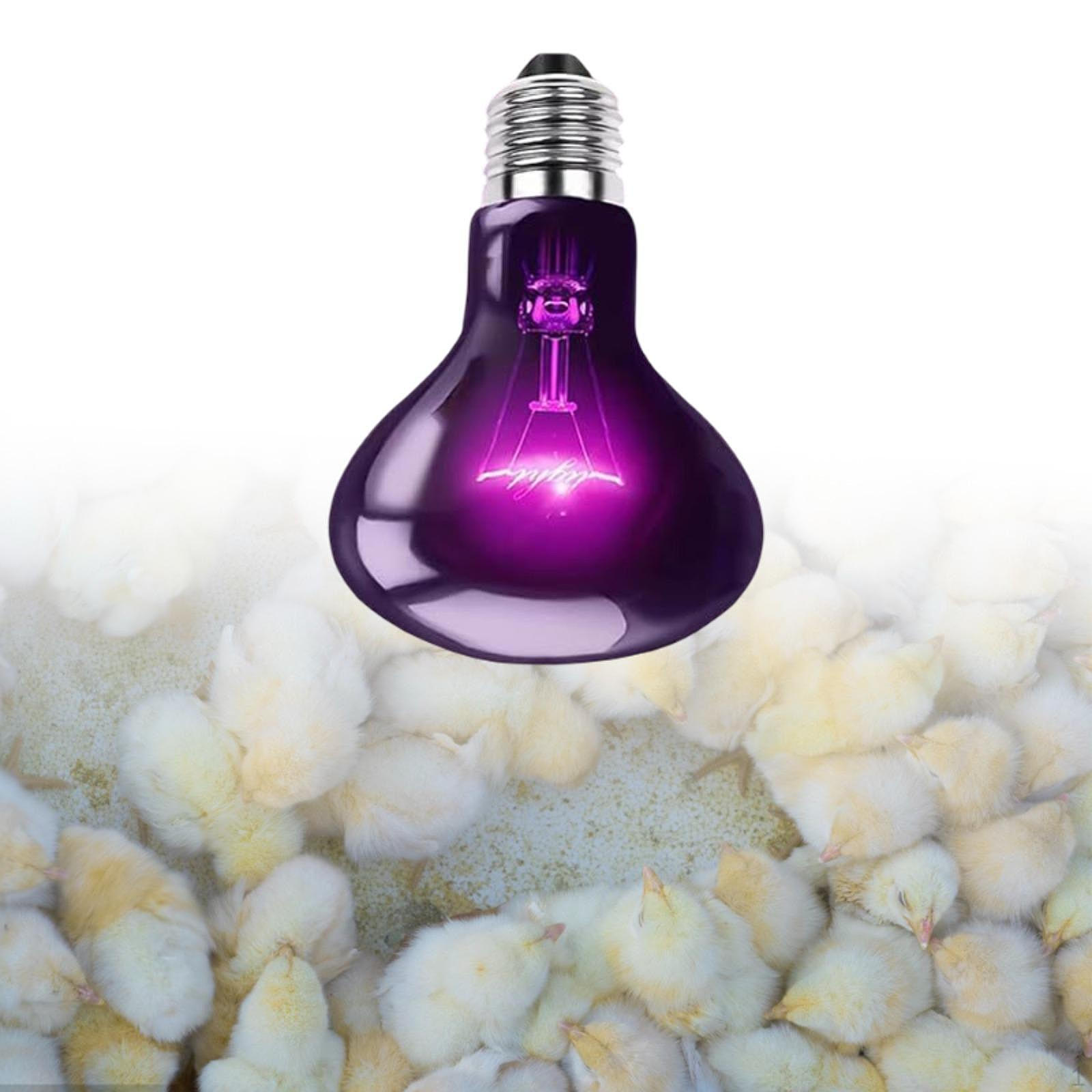 

Aquatic Tank Heat Lamp, E26 Base Basking Light for 50W