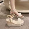 Niche Women's Fairy-Style Wedge Sandals, Summer 2025 - One-Strap Thick Sole Roman Design