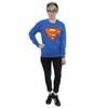 DC Comics Womens/Ladies Superman Logo Boyfriend Fit Sweatshirt