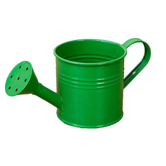 Long Spout Watering Can Metal Garden Watering Can Small Watering Pot for Indoor Outdoor Potted Plants Bonsai Patio Gardening зелёный