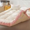 Thickened Plush Lamb Fleece Mattress Winter Student Dormitory Warm Mattress Pad Soft Foldable Home Pad
