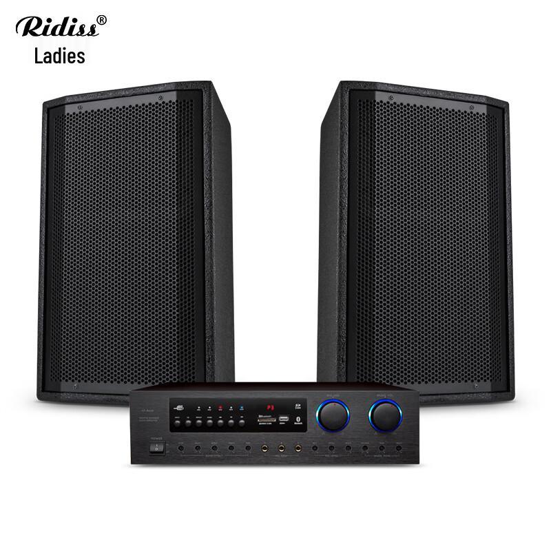 Ridiss AC208 Conference Room Audio System