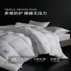 Mercury Home Textiles 95% Bílé husí prachové peří přikrývka