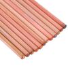 12 Zerodis Pastel Professional Color Charcoal Pencils Portrait Pastel Pencils for Layering and Pencils, Sketching, Shading, Coloring, Blending.