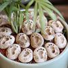 20PCS Small Footprint Stepping Stones Decorative Potted Footprint Ornament  Garden Decor
