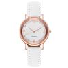 Luminous Women's Leather Strap Fashion Watch