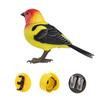 Electric Simulation Bird Toy With 3 Standing Base Sound Motion Simulation Bird Interactive Toy Movable Mouth Head Fake Bird Toy
