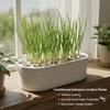 2 PCS Multifunctional Hydroponic Pot for Regrowing Scallions And Garlic,Comes with a Scissor Support Frame for Easy Access to Scissors