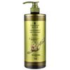 Schwarzkopf Ginger Essence Oil Control Shampoo