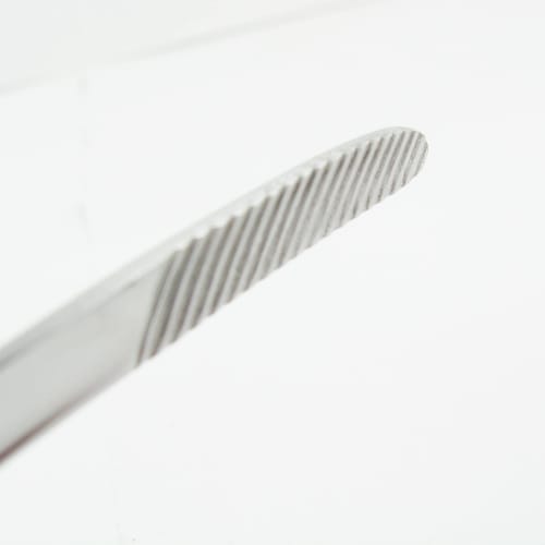 Nagao Tsubame-Sanjo Claver Tongs, Economy Type, Mirror Finish, 24cm, Stainless Steel, Perfect for Yakiniku, Pasta, Camping, and BBQs, Made In Japan