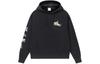 Skateboard Sweatshirts Men's Black Hooded Moderate Regular AWDS177-4
