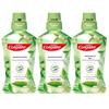 Jasmine Green Tea Mouthwash