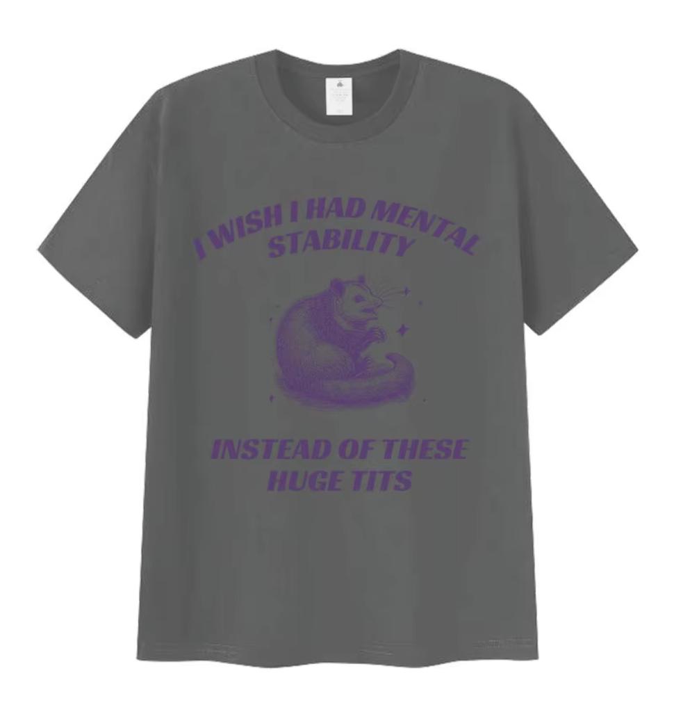 Funny I Wish I Had Mental Stability Racoon Meme T Shirts Men's Women Casual High Quality Oversized Cotton T-shirt Harajuku Tops