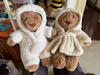 Graduation Limited Collection Plush Doll Barcelona Bear Narcissus Flower Soothing Fragrant Bonnie Zhizhen Series Bonnie Rabbit